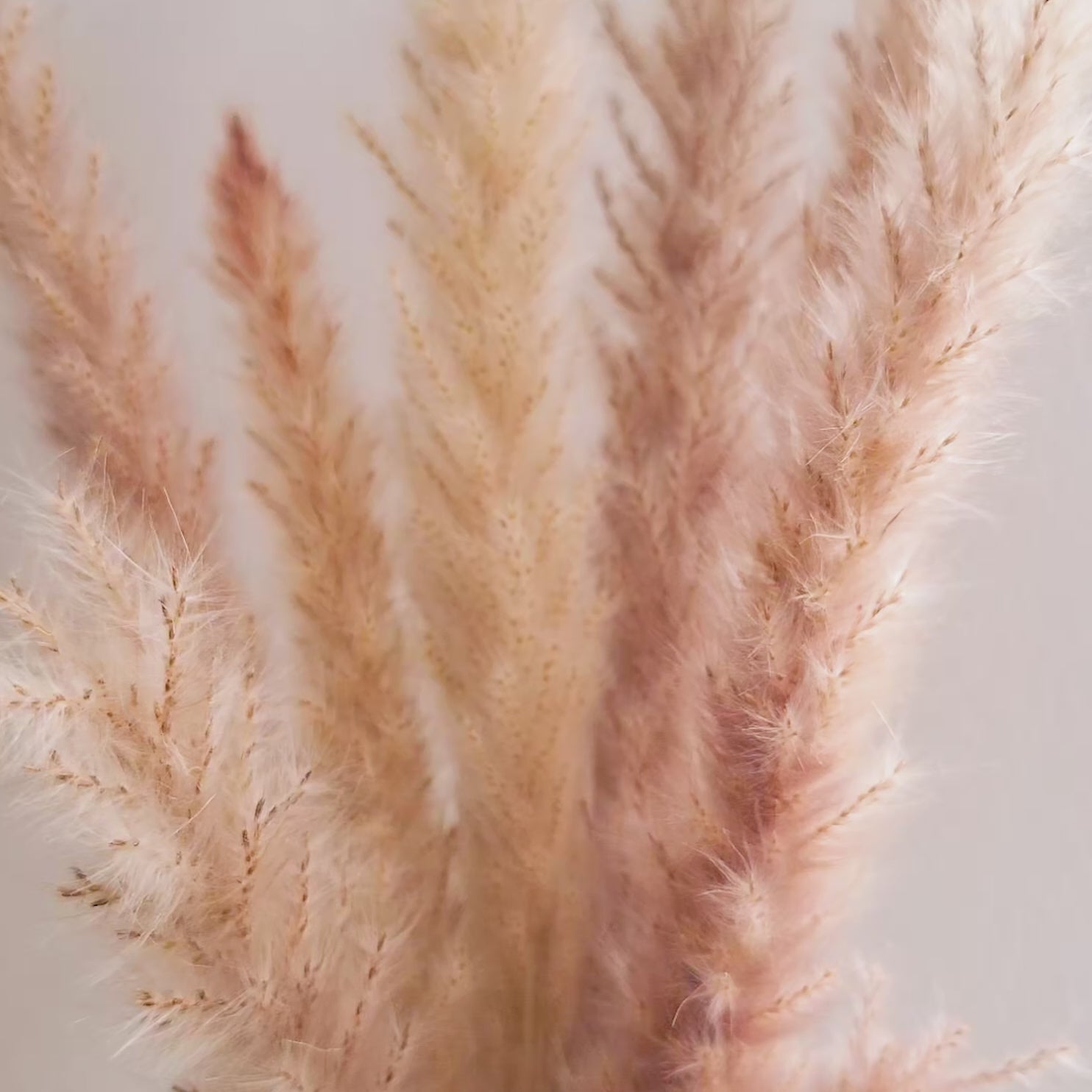 Burgundy Pearl White Flower Hoop Earrings Set